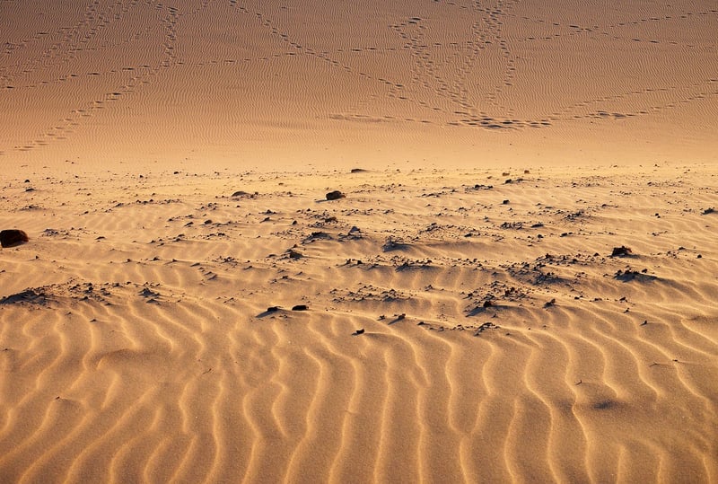 Dune Movie Poster